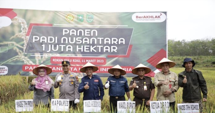 Jadikan Rohul Daerah Penghasil Komoditi Beras Terbesar di Riau