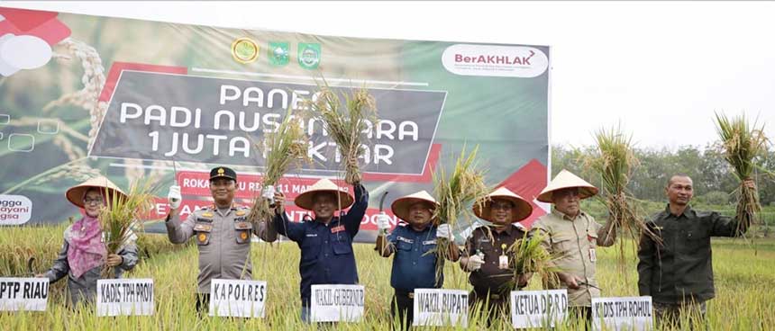 Staf Ahli Gubri Akui Produksi Padi Di Rohul Meningkat Dan Dijadikan Penghasil Komoditi Beras Terbesar Di Riau